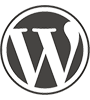wordpress expert development